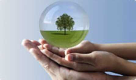 Contribution towards Environment 